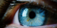 Eye, closeup from blue iris